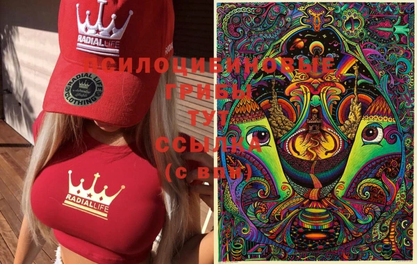 бутират Вязники